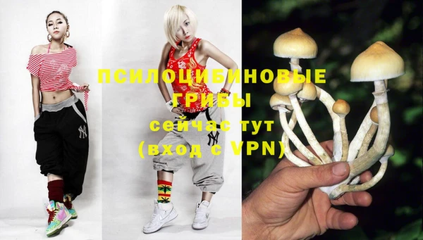 мяу мяу кристалл Арсеньев