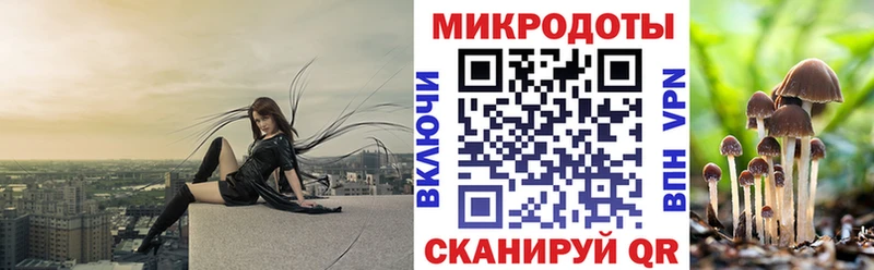 Псилоцибиновые грибы мухоморы  omg маркетплейс  Пенза 