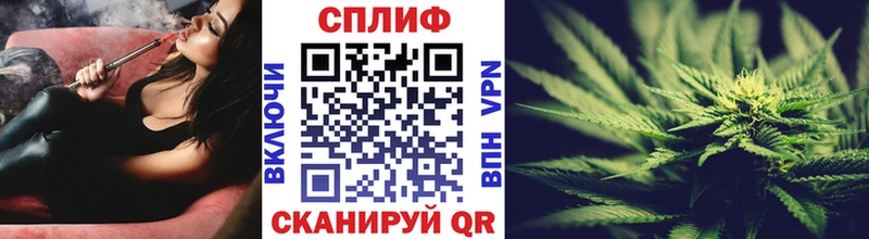 МЕГА как войти  Пенза  Каннабис ГИДРОПОН 